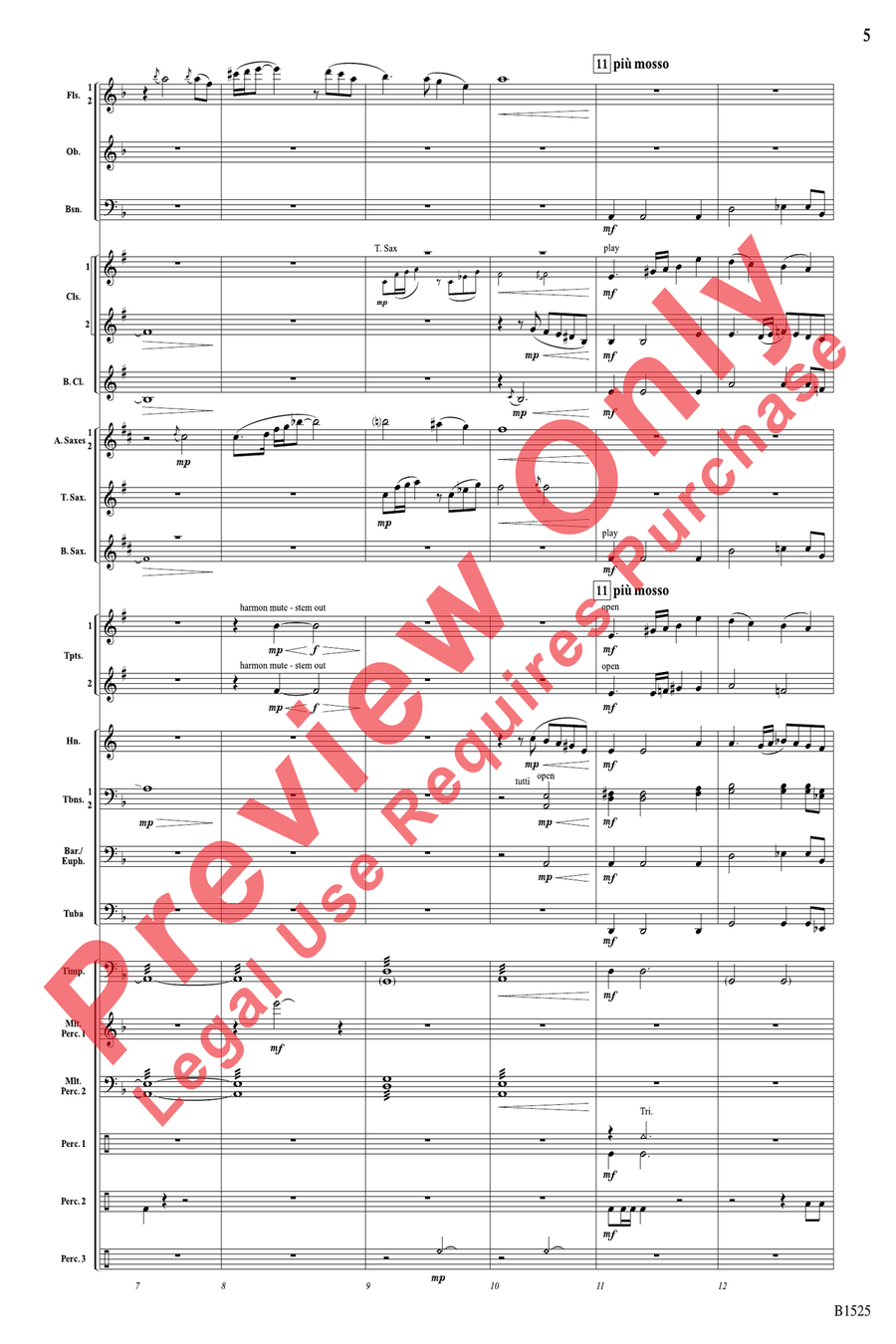 Sun Cycles Sun Cycles Concert Band scores gallery preview page 5