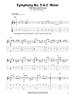Symphony No. 5 In C Minor, First Movement Excerpt mini preview