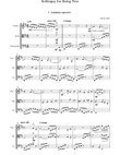 Soliloquy For String Trio