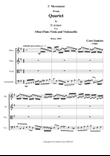 Quartet in E minor for Oboe Flute and Strings CS061_1 mov