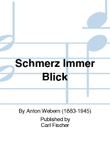Schmerz Immer Blick
