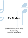 Pa floden