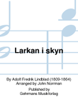 Larkan i skyn