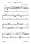 Jesus, Joy of Man's Desiring ( Beautiful Version)