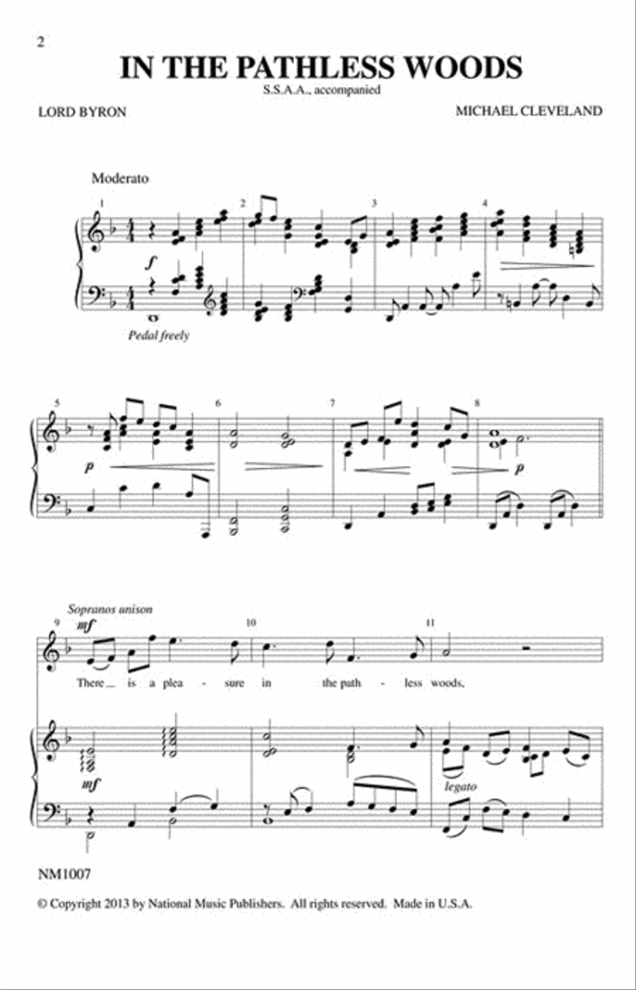 In the Pathless Woods In the Pathless Woods SSAA scores gallery preview page 2