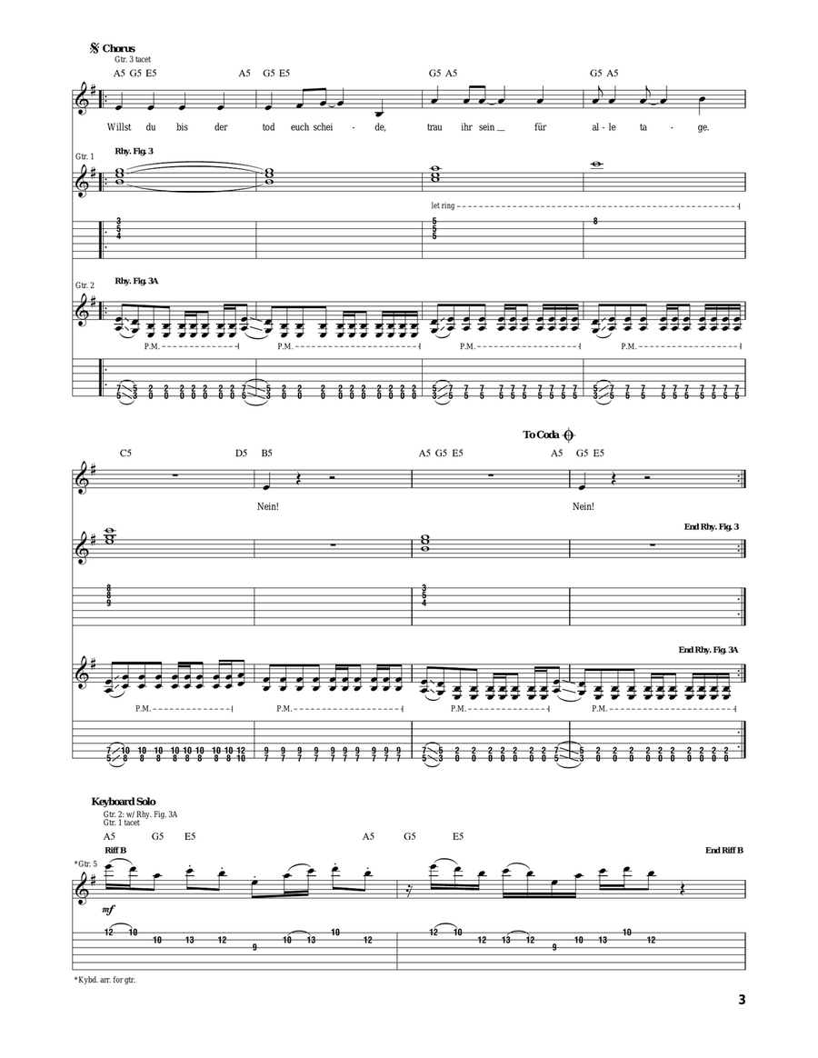Du Hast Du Hast Acoustic Guitar scores gallery preview page 3