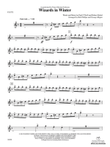 Wizards in Winter: Flute