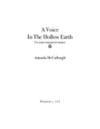 A Voice in the Hollow Earth