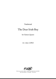 The Dear Irish Boy