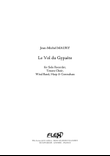 Le Vol du Gypaete