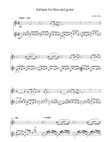 Solitude for Flute and Guitar