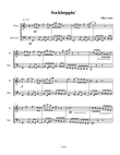 Sockhoppin' for Flute and Bassoon