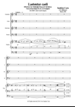 Laetentur Caeli - Cristmas - SABrB choir and organ