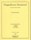 Magnificent Situations