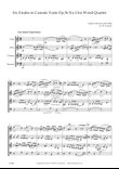 Six Etudes in Canonic Form Op.56 No.2 for Wood Quartet