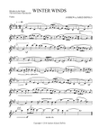 Rhythm in the Night - Winter Winds - Violin