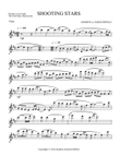 Rhythm in the Night - Shooting Stars - Flute