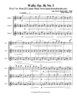 Waltz by Amy Beach set for Flute Trio