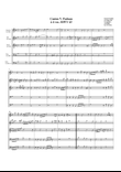 Paduan no.5 SSWV 43 (arrangement for 5 recorders)
