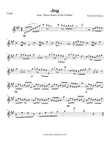 Joy (from Moon Dance of the Fireflies) Violin Solo part