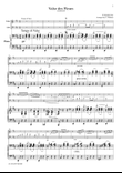 Tschaikowsky Valse des Fleurs(condensed) from The Nutcracker, for piano trio, PT004
