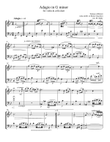 Albinoni Adagio for violin & cello duet