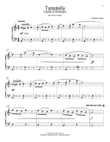 Tarantella (Spider At Midnight)