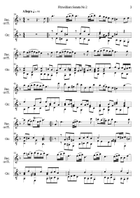 Fitzwilliam sonata for alto recorder or flute and guitar Small Ensemble scores gallery preview page 3