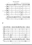 Morning Mood (from Peer Gynt) for String Orchestra