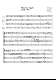 Miserere 4 parts [FVB 177] (arrangement for 4 recorders)