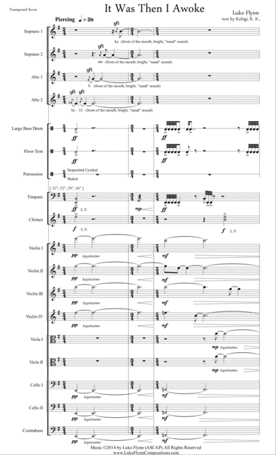 It Was Then I Awoke Percussion Ensemble scores gallery preview page 4