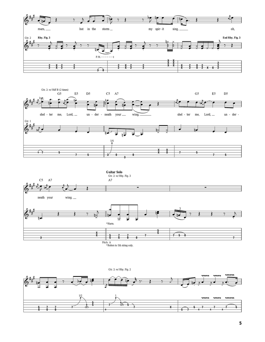 Shelter Me Shelter Me Acoustic Guitar scores gallery preview page 5