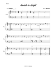 Awash in Light - Second Movement, Twilight