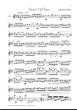 Transit Of Venus for solo flute