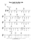 You Light Up My Life mini preview