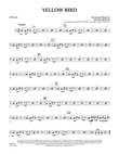 Yellow Bird - Congas