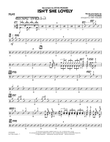 Isn't She Lovely - Drums