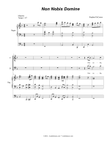 Non Nobis Domine (Tenor solo with SATB) mini preview