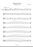 Phrygian Swell (for descant/soprano or tenor recorders)