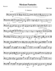 Mexican Fantasies, I. Amores for Woodwind Quartet