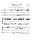Aria: Erbarme mich, lass die Thraenen dich erweichen from Cantata BWV 55 (arrangement for 3 recorder