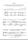 Czardas - A feisty gypsy-style romp for Bb Clarinet & Piano. No safety net supplied!