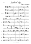 Jesus deine Passion for woodwind quartet mini preview