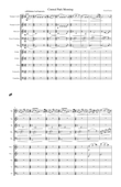 Central Park Morning Orchestra & Brass Quintet Version