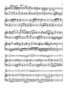 Flute Concerto in D minor Flute Solo scores gallery preview page 3