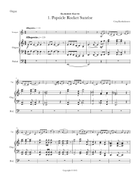 Summer Suite for trumpet & organ Trumpet Duet scores gallery preview page 3