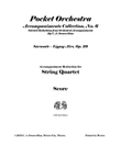 Sarasate - Gypsy Airs, Op. 20 for Violin and String Quartet (Reduction of the Original Accompaniment