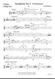 Symphony No.5 [woodwind parts]