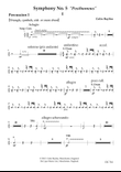 Symphony No.5 [percussion parts]