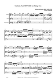 Sinfonia No.15 BWV.801 for String Trio